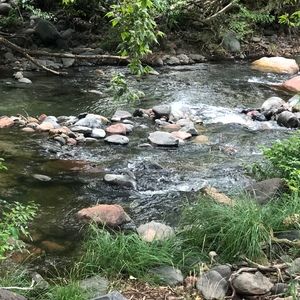 Meet your Posher, Kristin